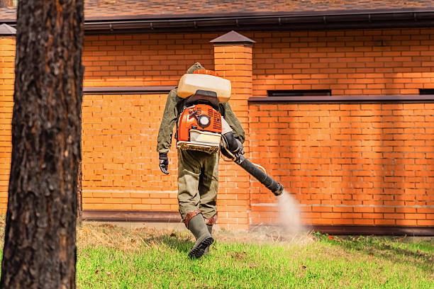 Trusted Ant Control service in Clay City, KY - Nex Pest Control